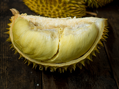 九游电子官网基地展示二