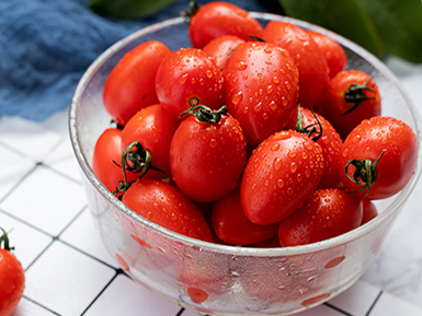 九游电子官网基地展示六