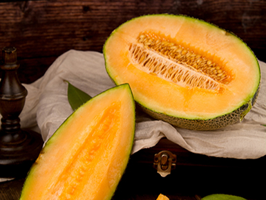 九游电子官网基地展示一